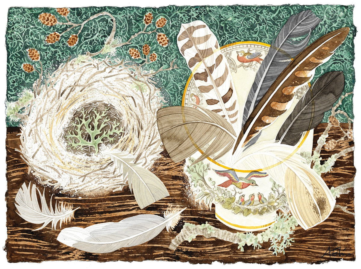 Birds’ Nests and Feathers – watercolour by Angie Lewin