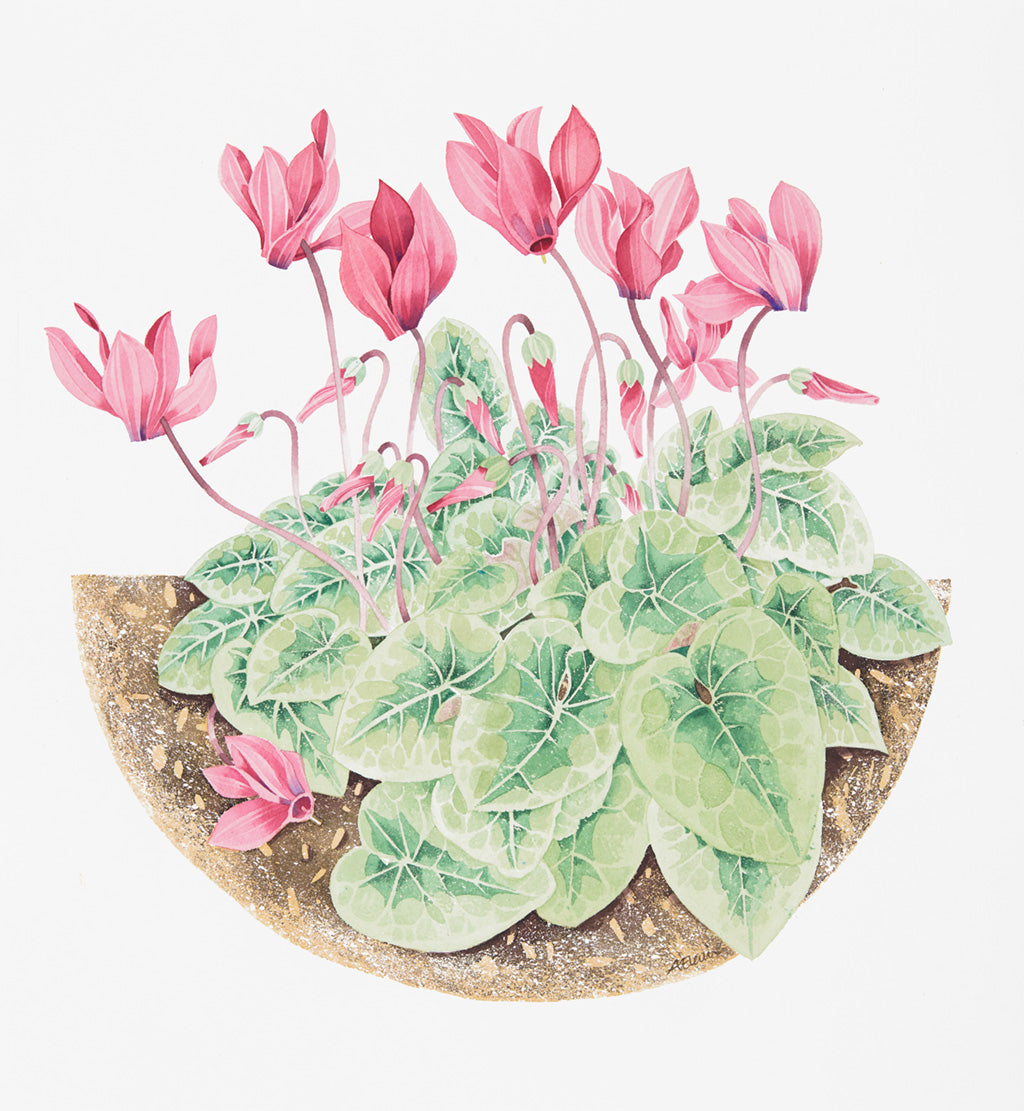Cyclamen - Angie Lewin - printmaker and painter