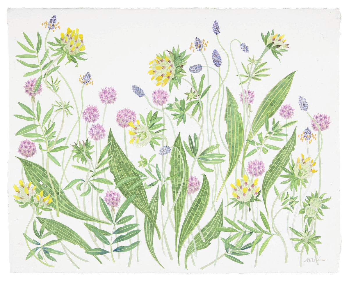 Machair Study, Knockintorran – watercolour by Angie Lewin
