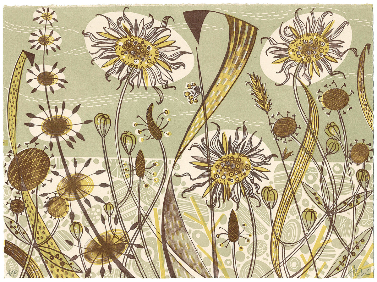 Polwick - Angie Lewin - printmaker and painter