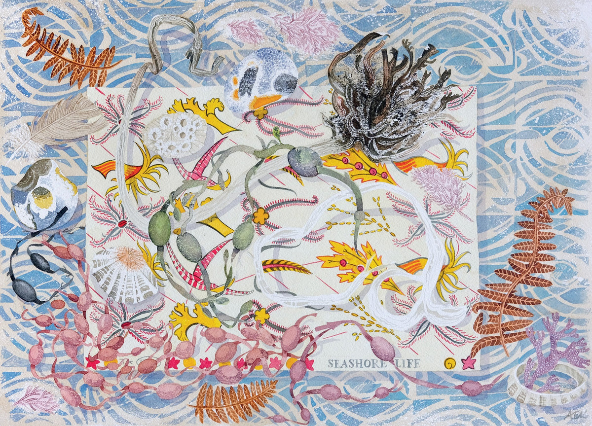 Seashore Life – watercolour by Angie Lewin
