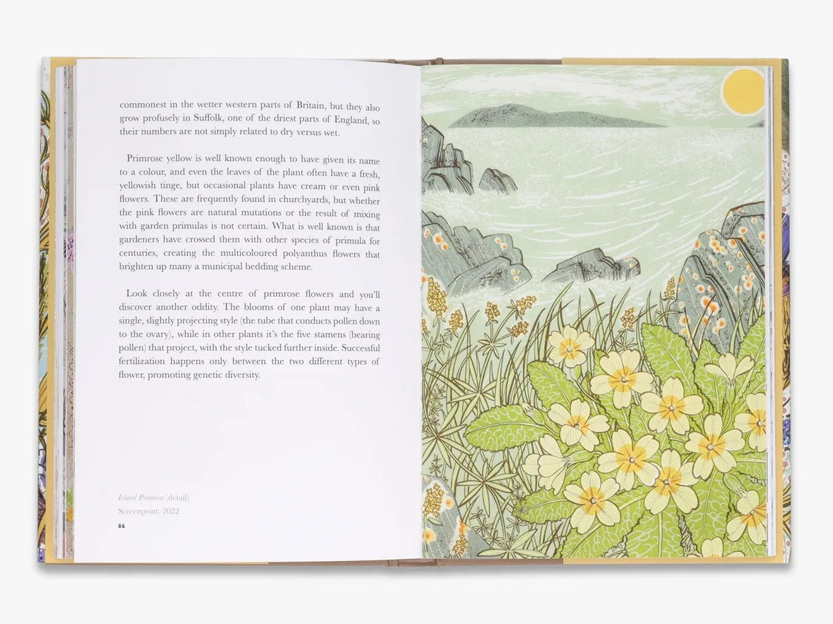 The Book of Wild Flowers - Angie Lewin - printmaker and painter