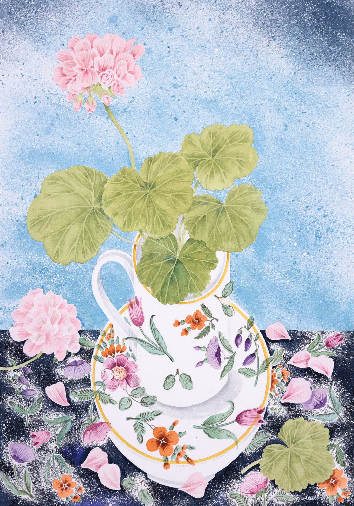 The Swedish Pelargonium – watercolour by Angie Lewin