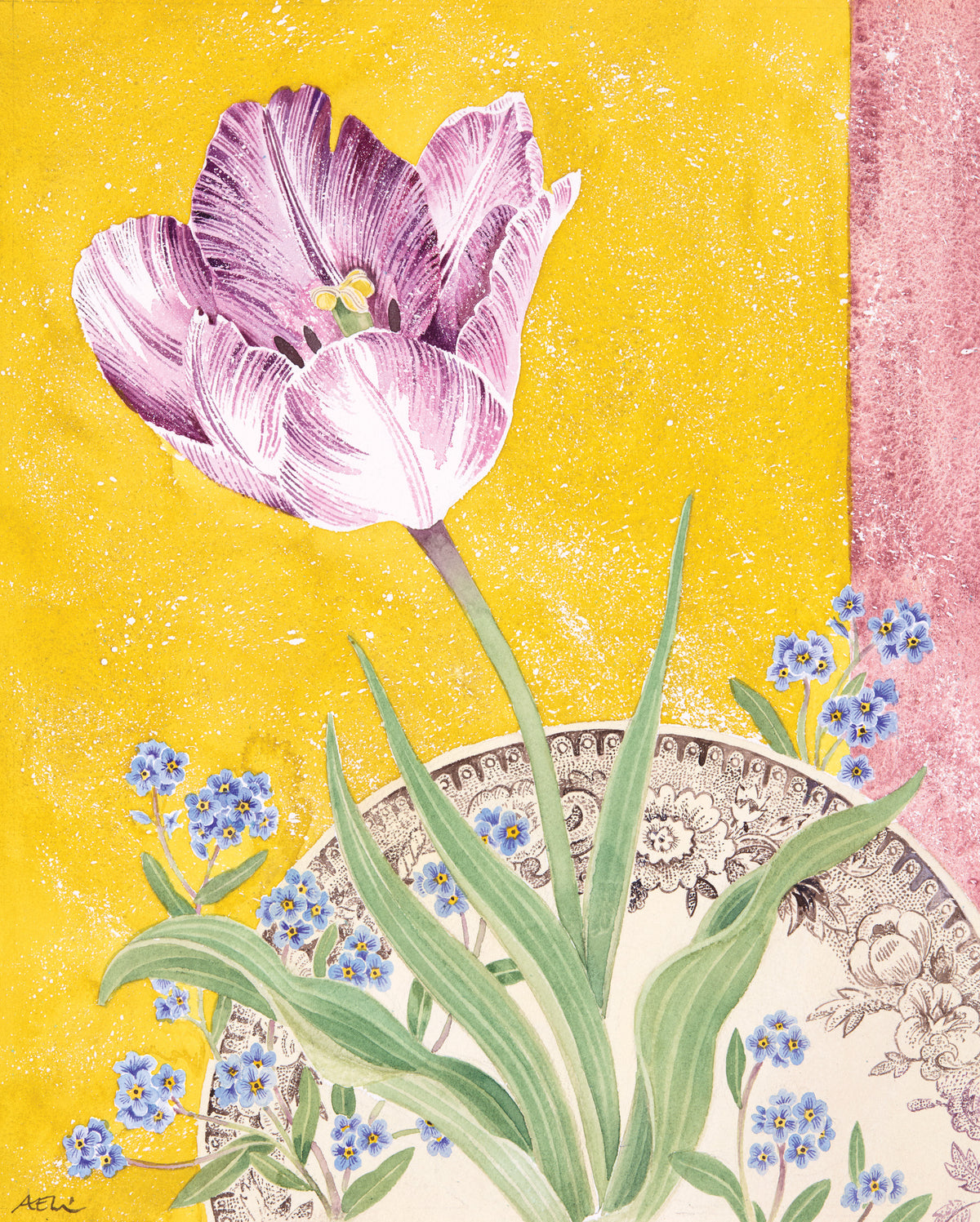 Tulip ‘Columbine’ with Forget-Me-Nots – watercolour by Angie Lewin