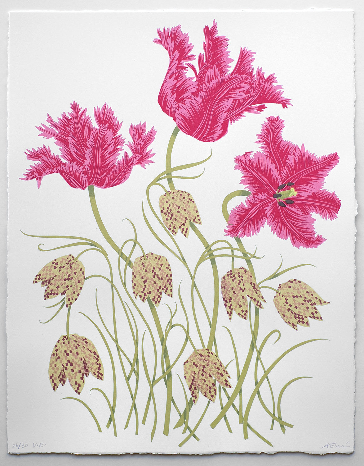 Tulips and Fritillaries No. 26 of 30
