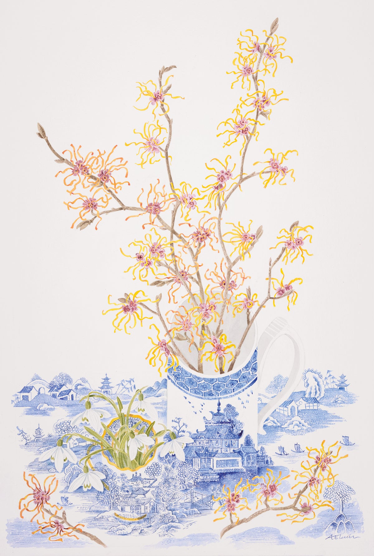 Witch Hazel and Chinese Landscape – watercolour by Angie Lewin