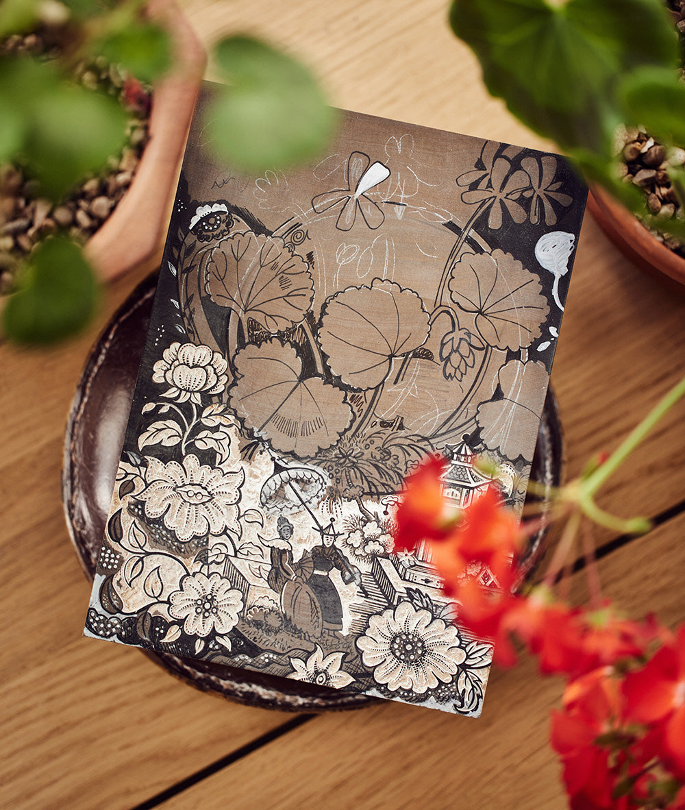 Pelargonium