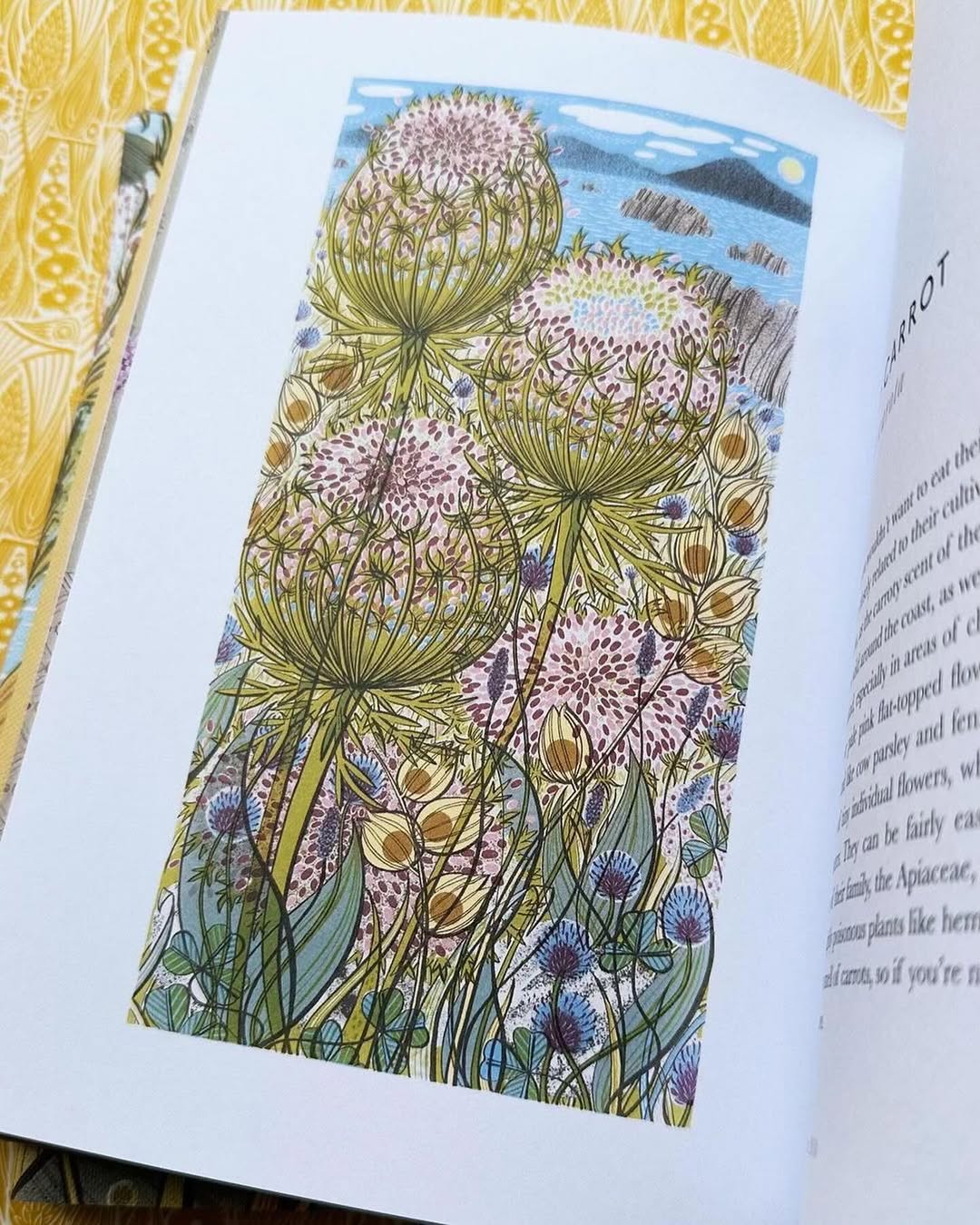The Book of Wild Flowers - Angie Lewin - printmaker and painter