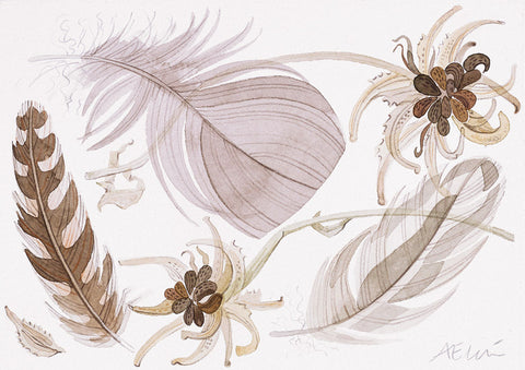 Calendula and Feathers