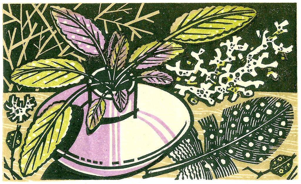 Coral & Sage, wood engraving by Angie Lewin