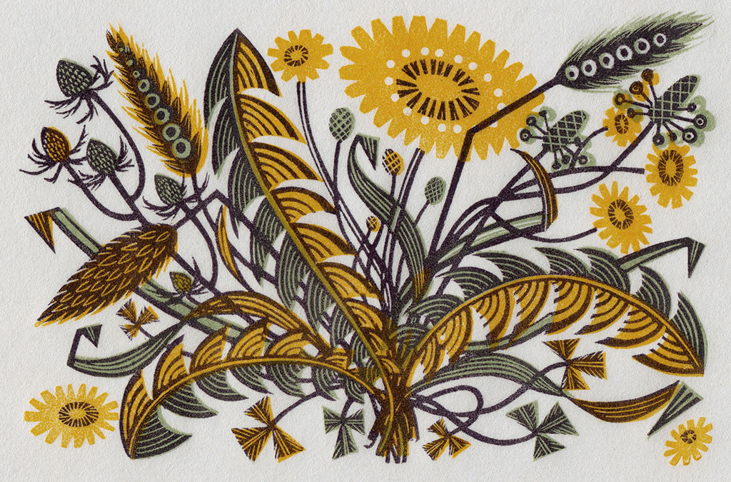 Dandelion Track I, wood engraving by Angie Lewin