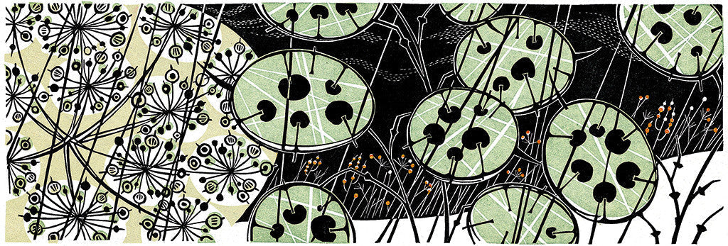 Honesty, linocut by Angie Lewin