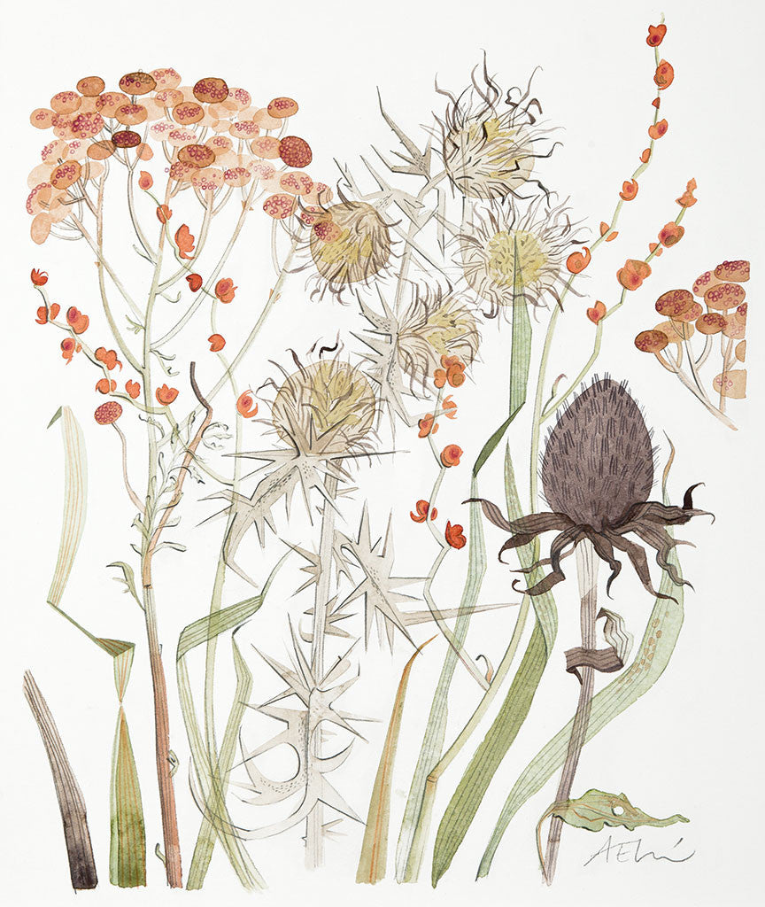 Meadow with Thistle & Crocosmia - Angie Lewin - printmaker and painter