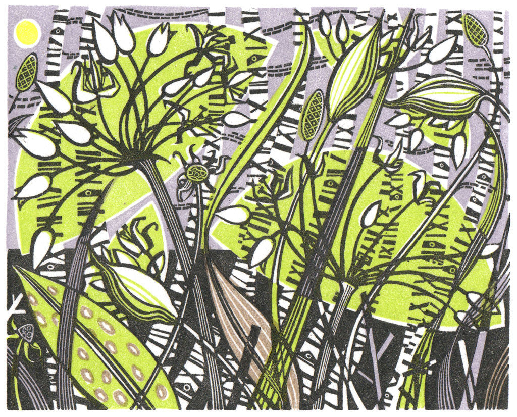 Ramsons, wood engraving by Angie Lewin