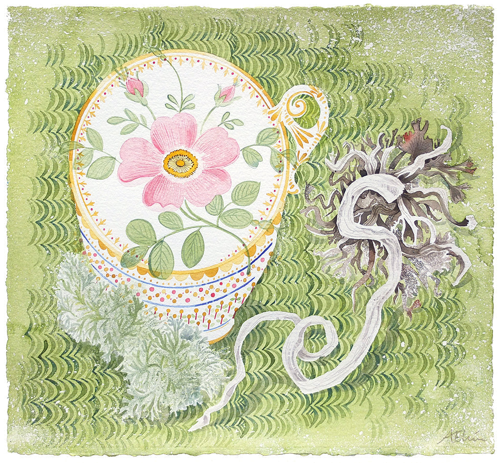 Rose Cup and Holdfast - Angie Lewin - printmaker and painter