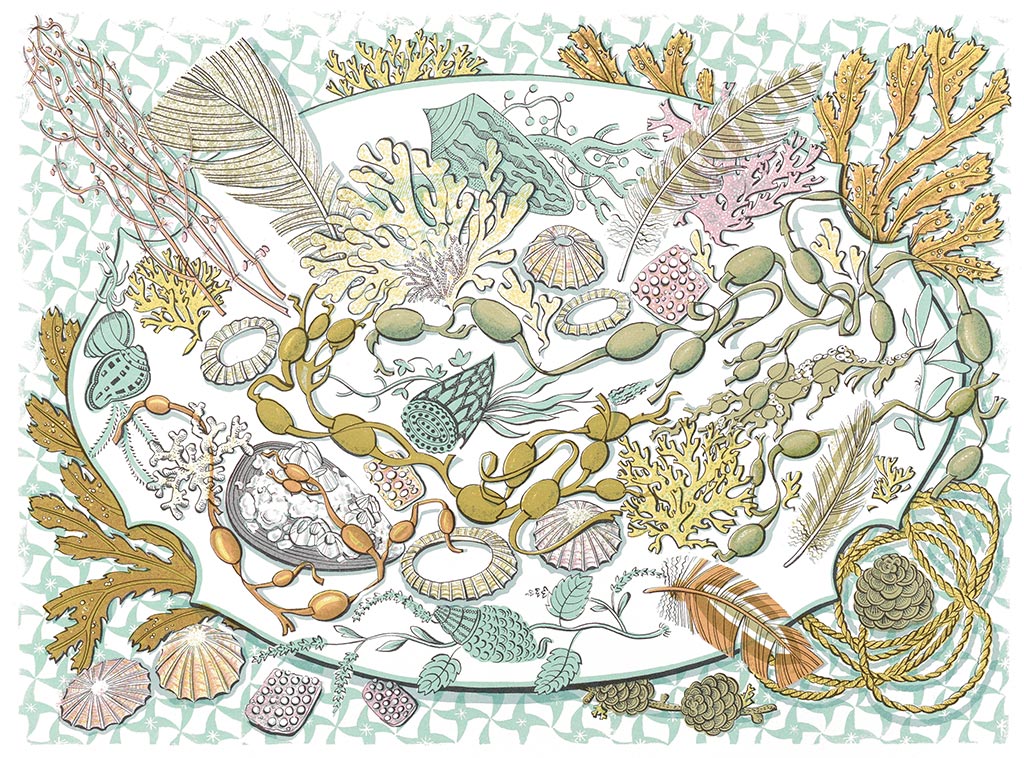 Shell, Seaweed and Feather, screenprint by Angie Lewin
