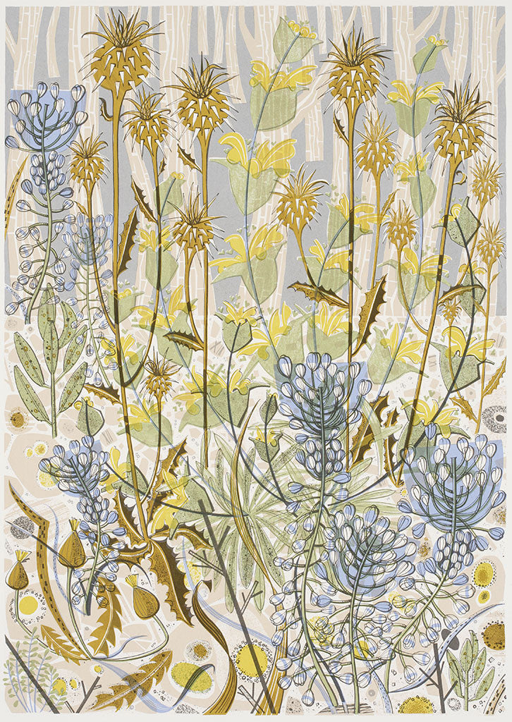 Stony Track, screenprint by Angie Lewin