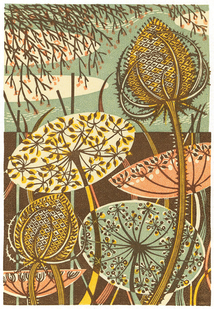 Teasel, wood engraving by Angie Lewin