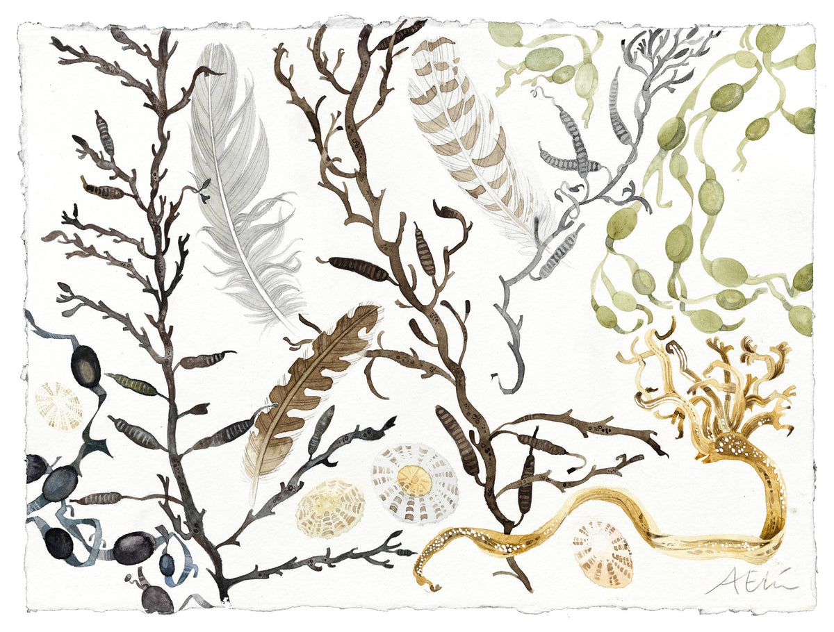 Berneray Beach Gatherings – watercolour by Angie Lewin