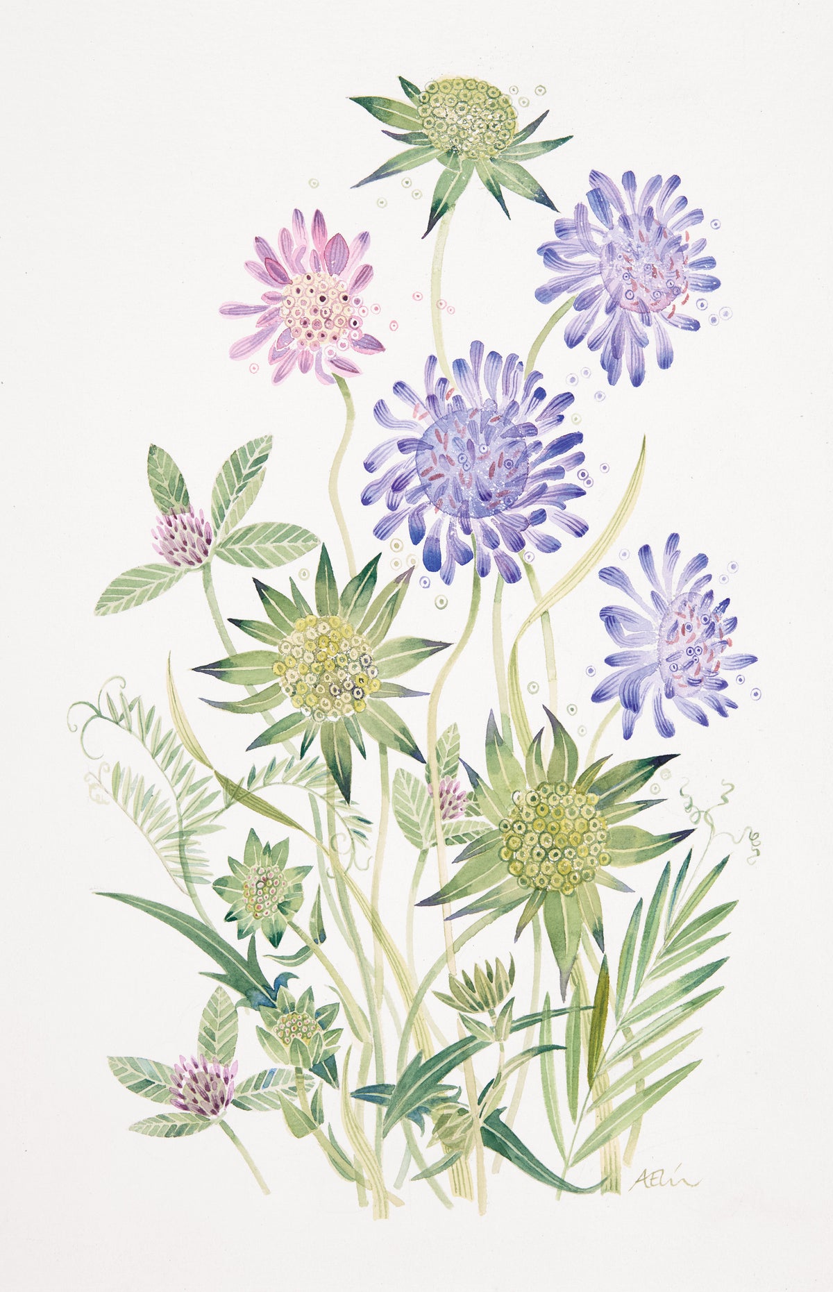 By the Track, Black Forest – watercolour by Angie Lewin