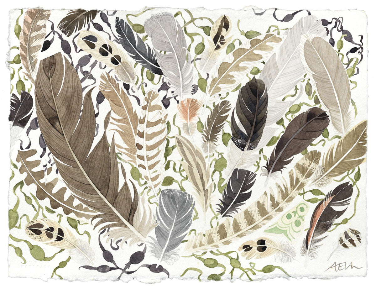 Feathers and Berneray Shard – watercolour by Angie Lewin