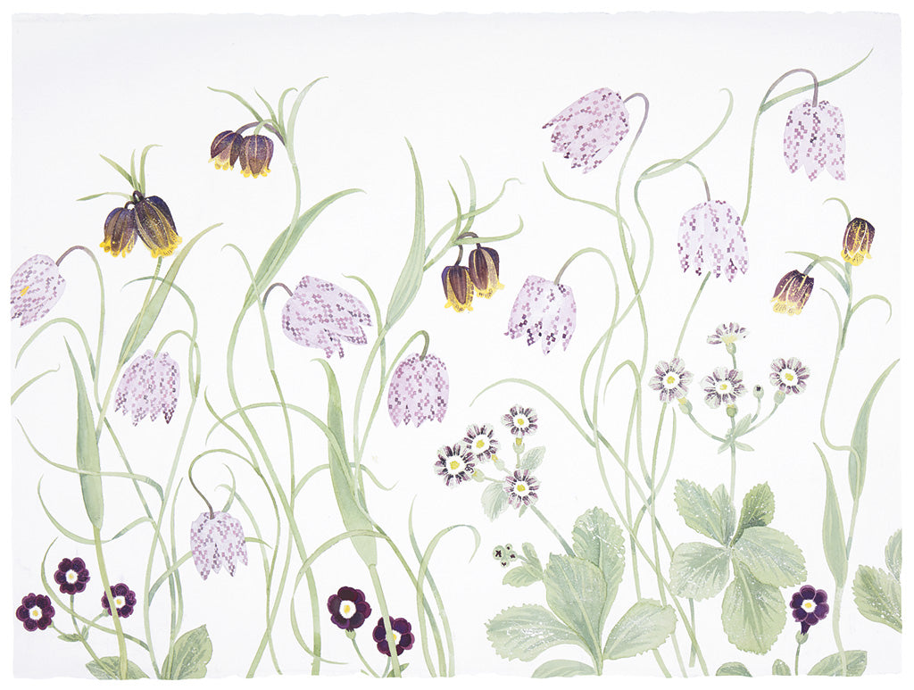 Fritillaries and Auriculas - Angie Lewin - printmaker and painter