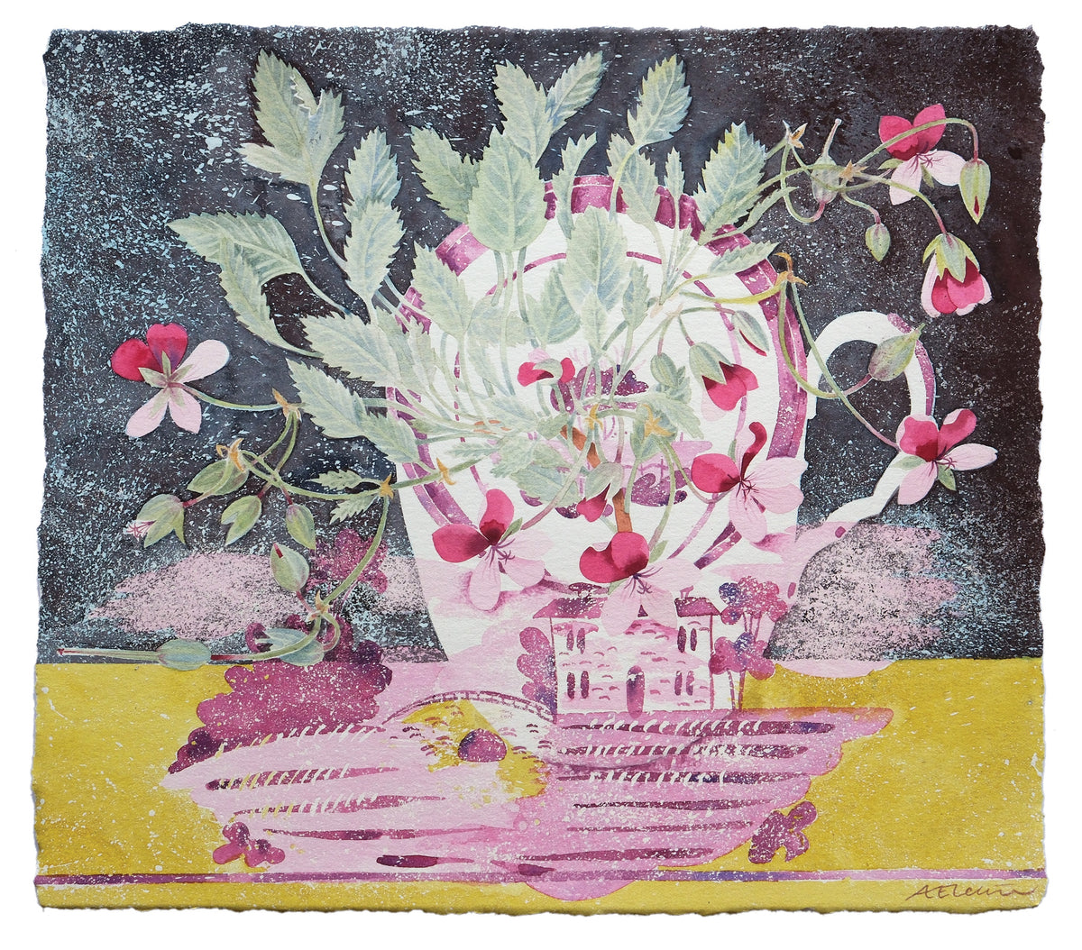 Pelargonium, Knockintorran – watercolour by Angie Lewin