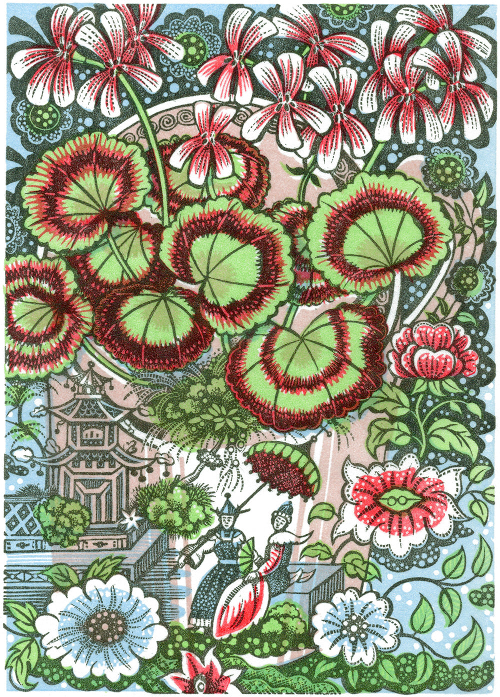 Pelargonium