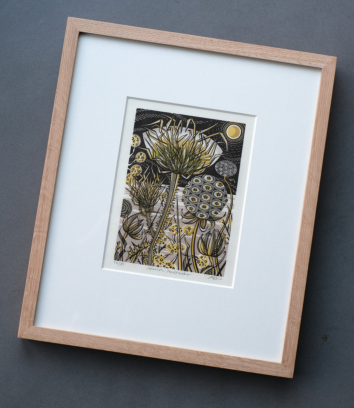 Spanish Seedheads - framed - Angie Lewin - printmaker and painter