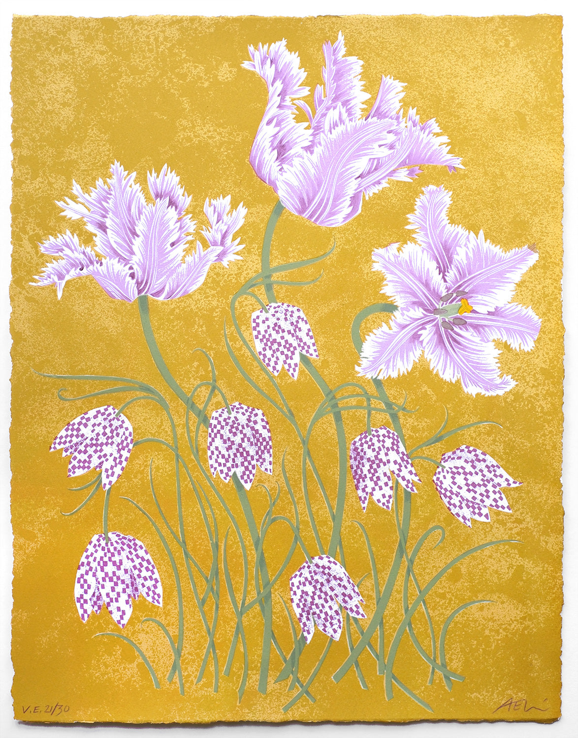 Tulips and Fritillaries No. 21 of 30 - Angie Lewin - printmaker and painter