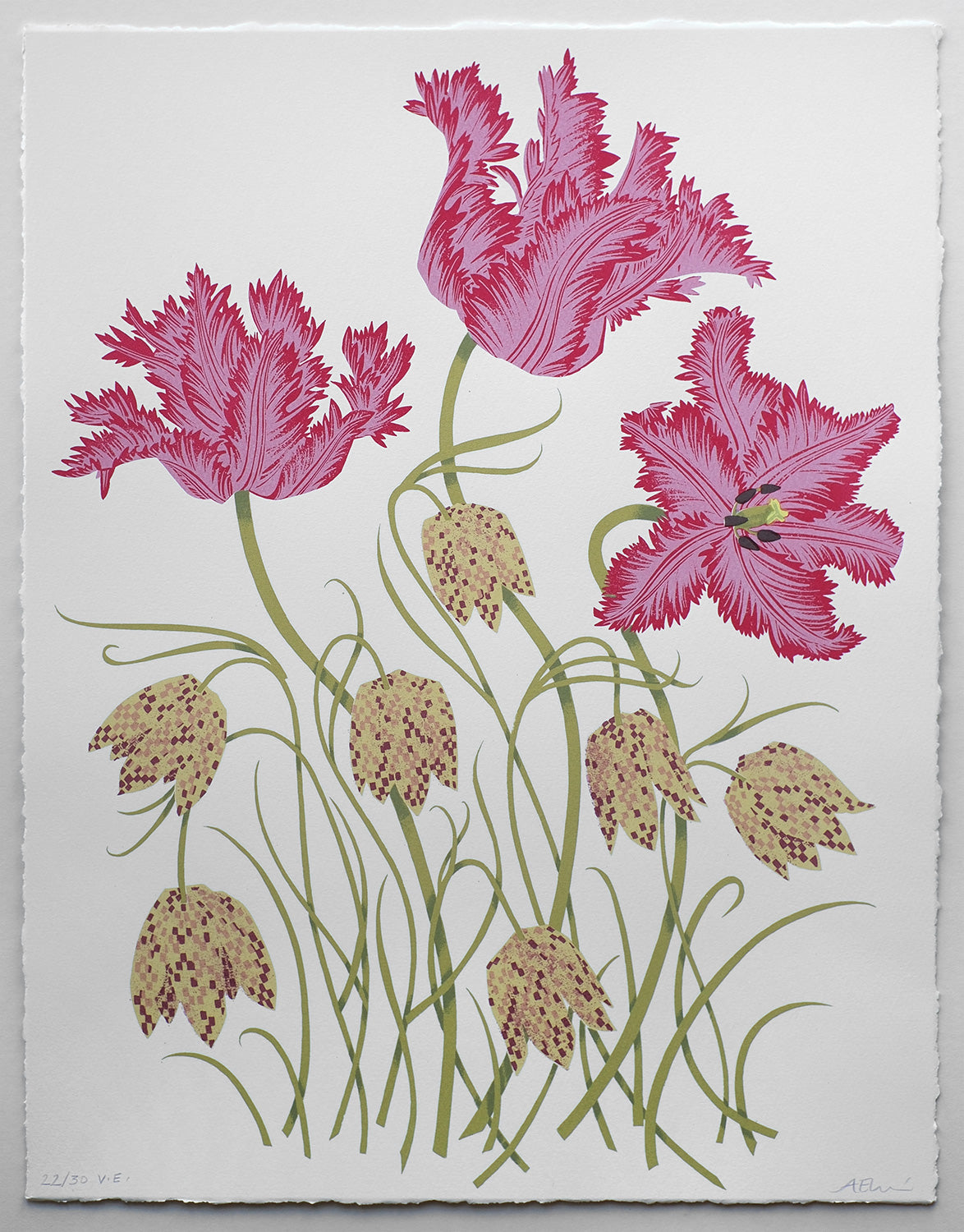 Tulips and Fritillaries No. 22 of 30 - Angie Lewin - printmaker and painter