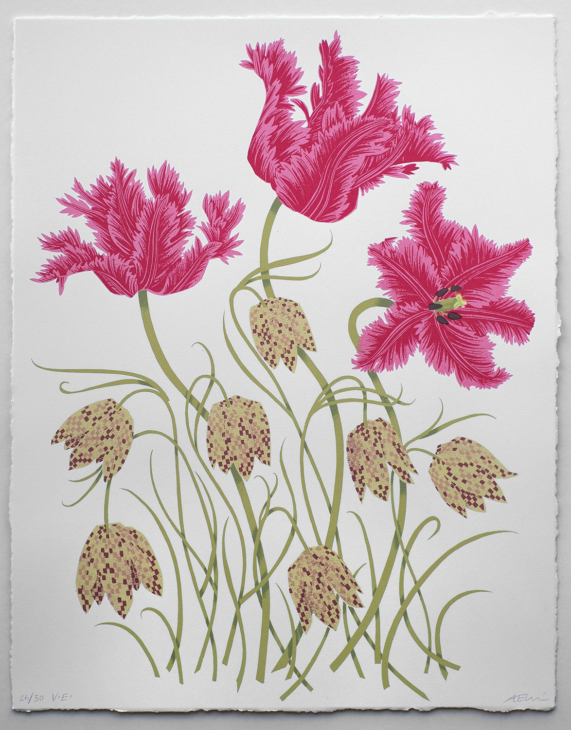 Tulips and Fritillaries No. 26 of 30 - Angie Lewin - printmaker and painter