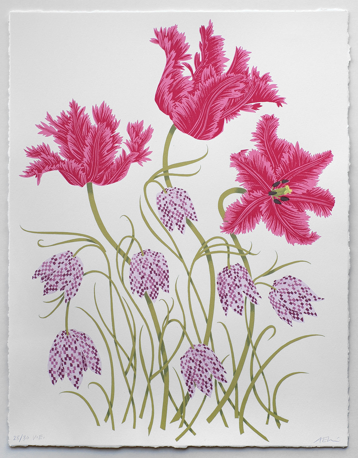 Tulips and Fritillaries No. 28 of 30 - Angie Lewin - printmaker and painter