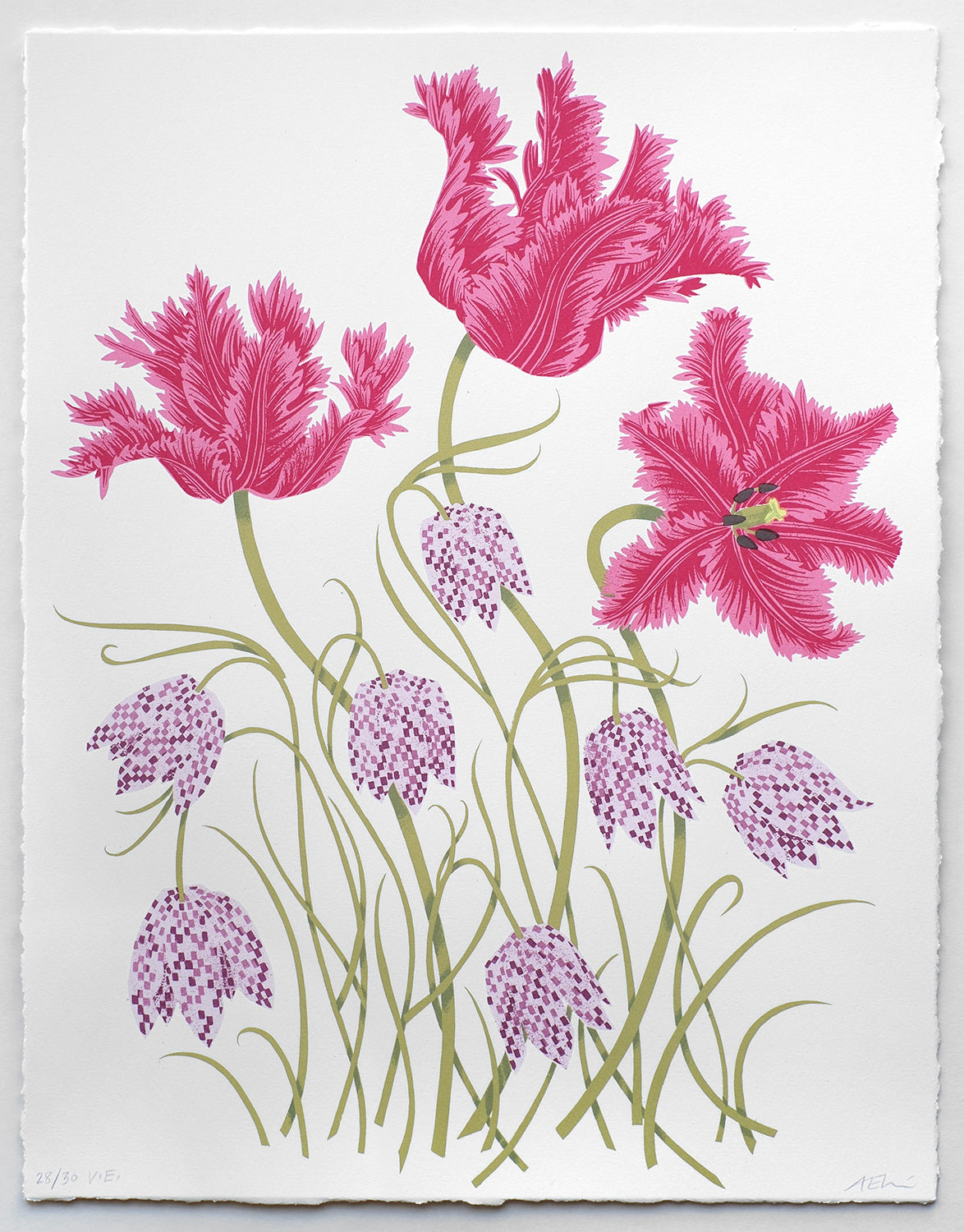 Tulips and Fritillaries No. 28 of 30