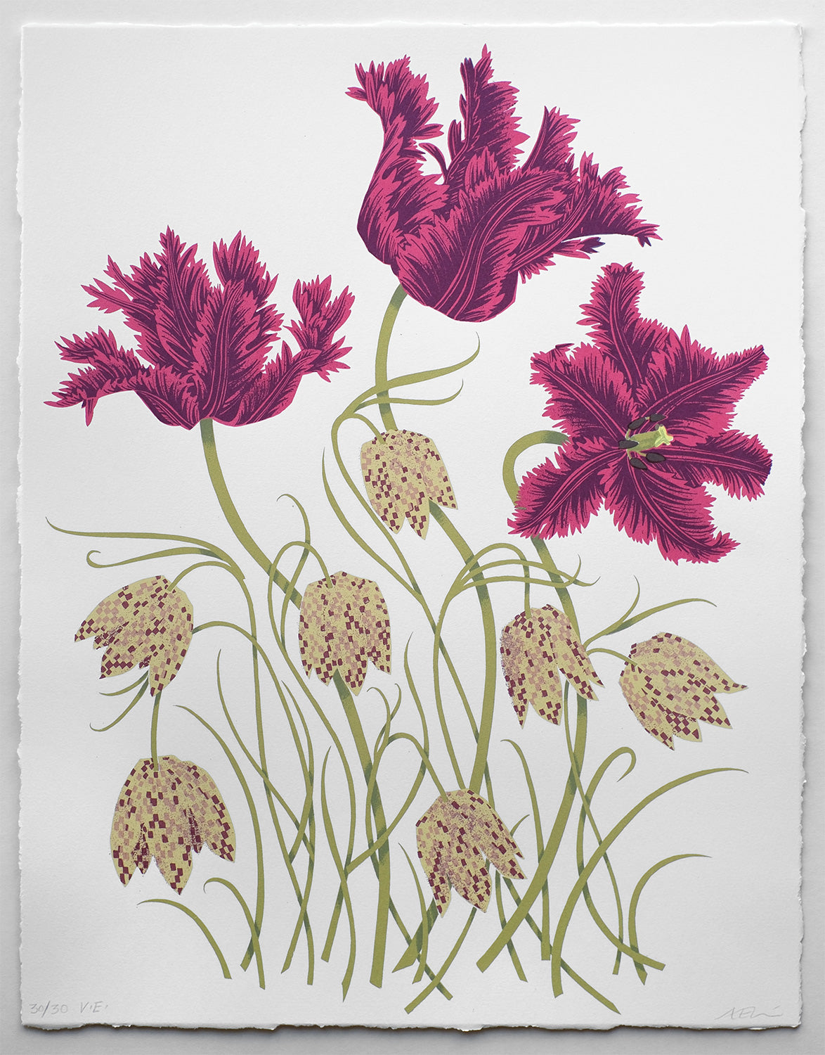Tulips and Fritillaries No. 30 of 30 - Angie Lewin - printmaker and painter