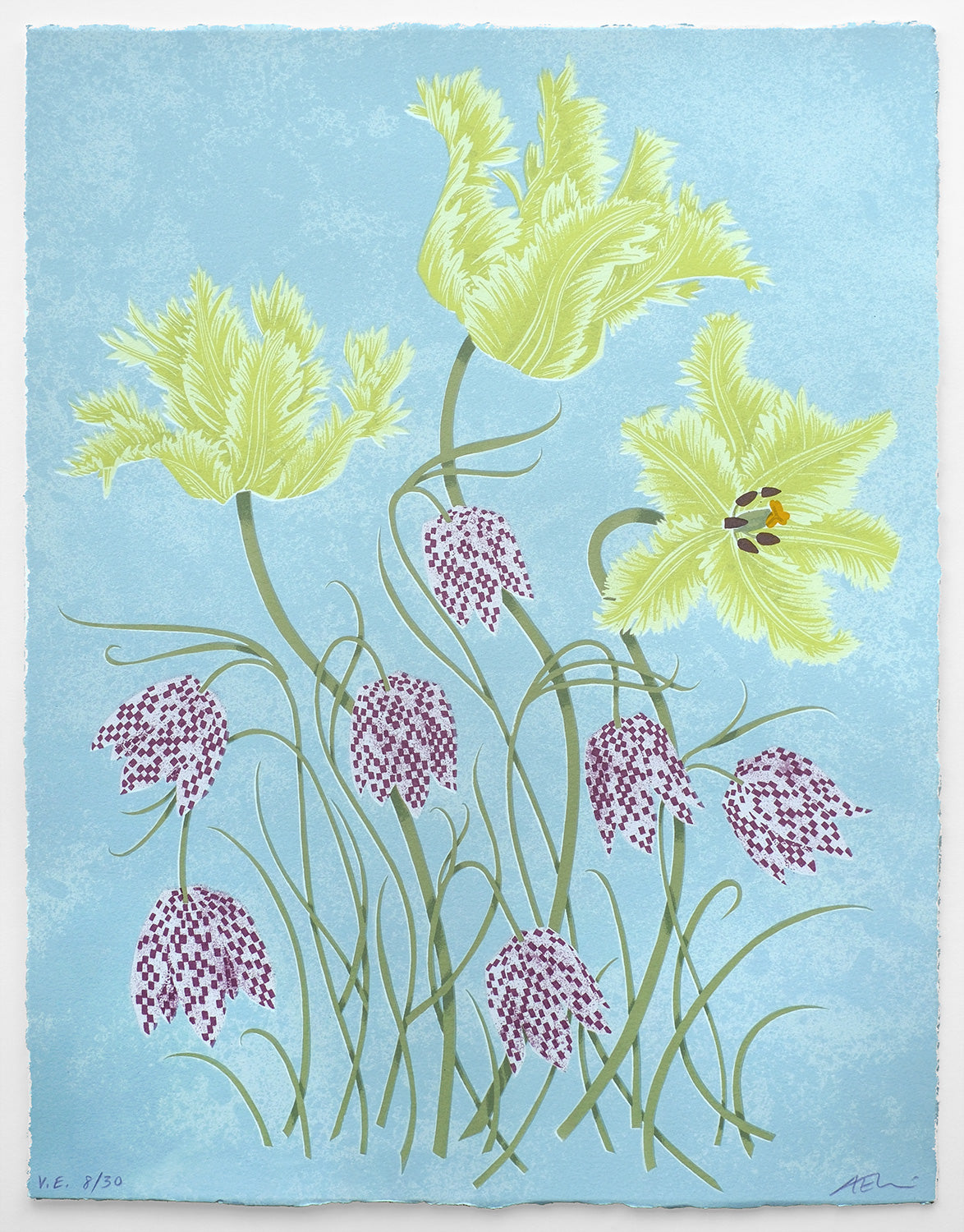 Tulips and Fritillaries No. 8 of 30 - Angie Lewin - printmaker and painter
