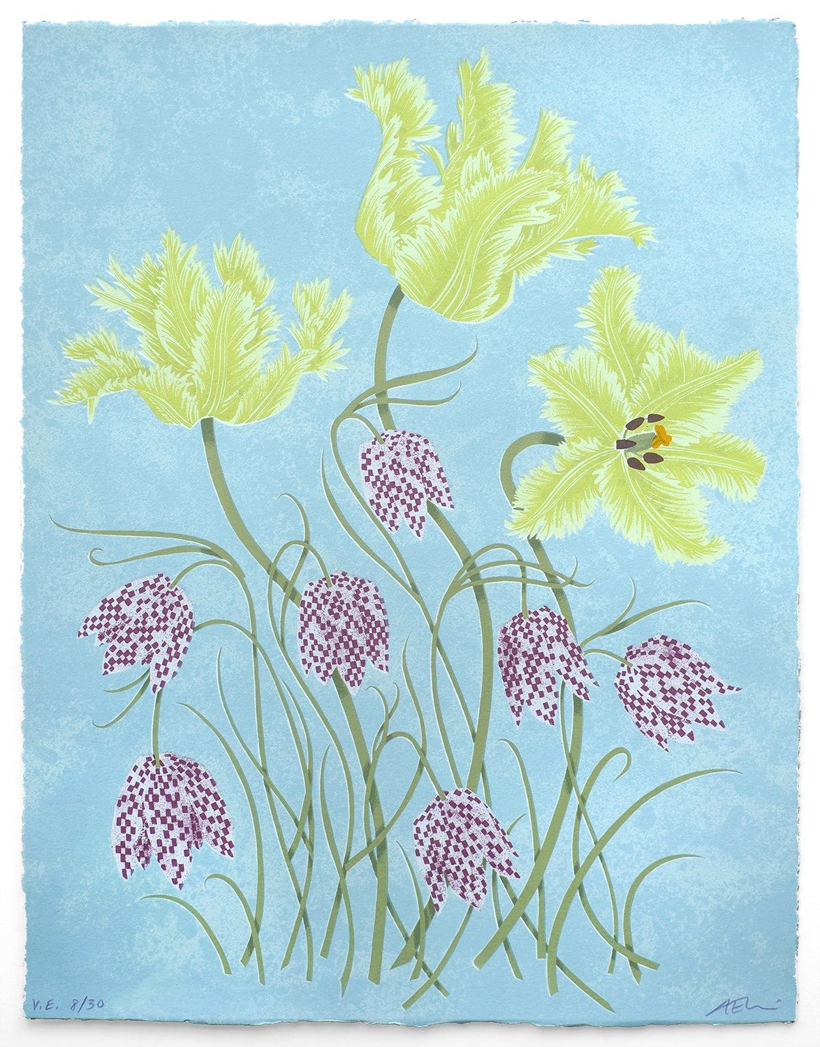 Tulips and Fritillaries No. 8 of 30