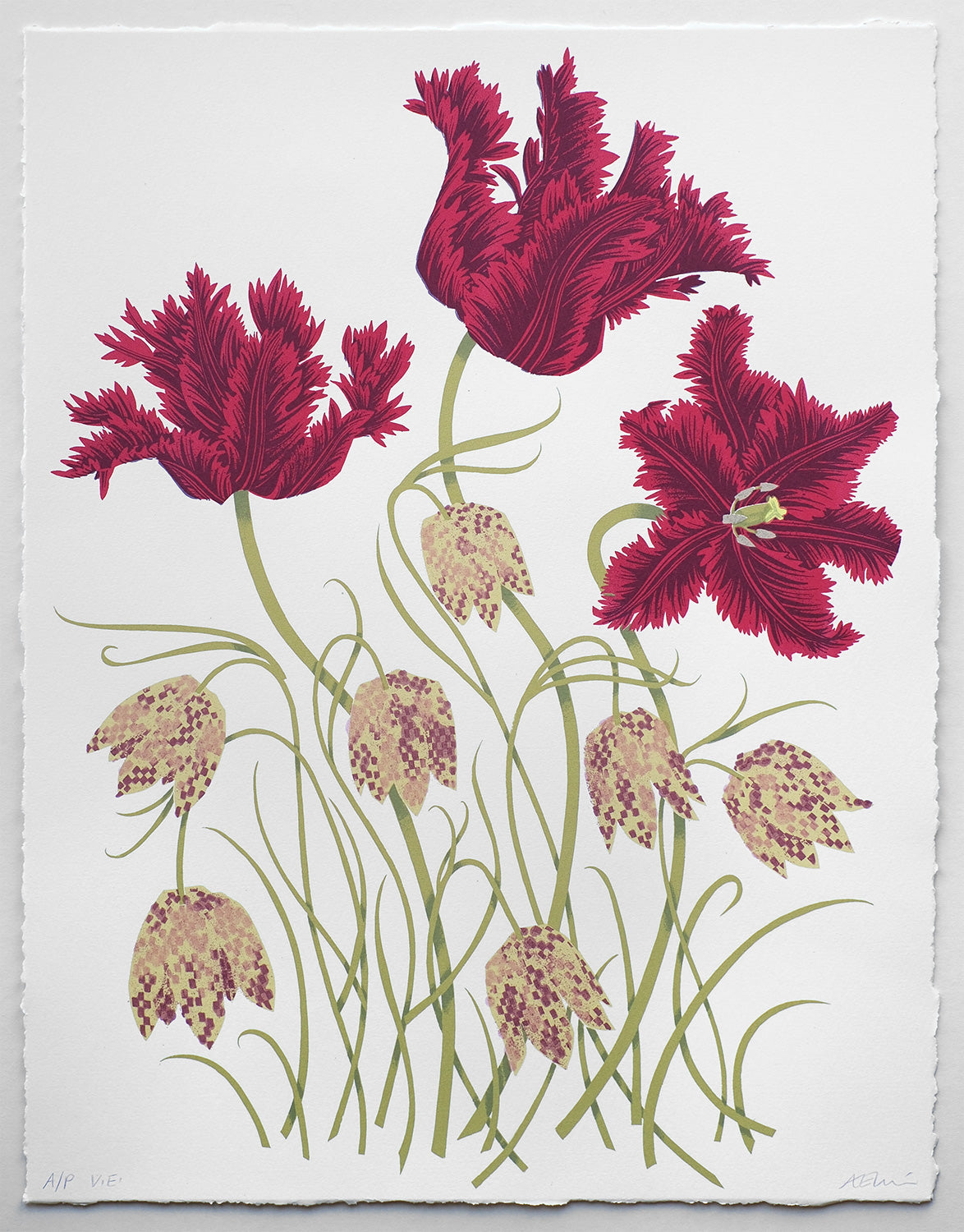 Tulips and Fritillaries A/P of 30 - Angie Lewin - printmaker and painter