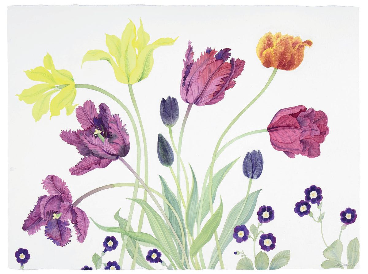 Tulips and Auricula Faliraki – watercolour by Angie Lewin
