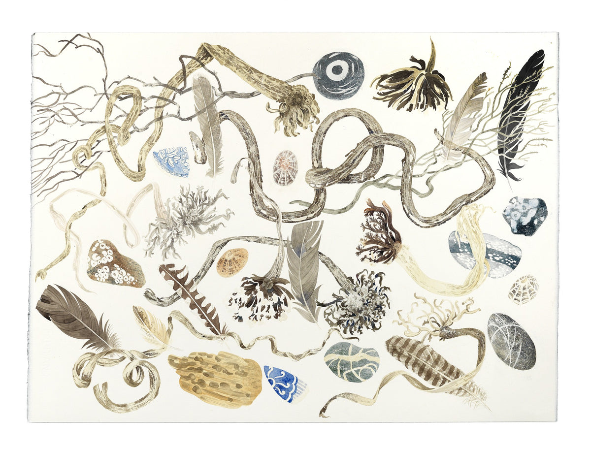 Twisted Holdfasts – watercolour by Angie Lewin