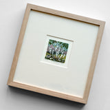 Rockpool II - framed - 26/125