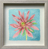 Red Dahlia, Pink - Angie Lewin - printmaker and painter