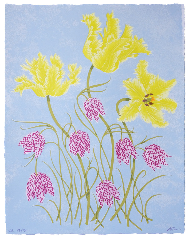 Tulips and Fritillaries 13/30 - Angie Lewin - printmaker and painter