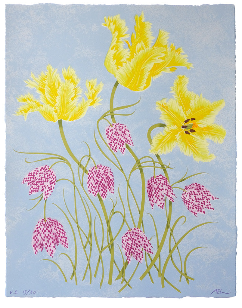 Tulips and Fritillaries 15/30 - Angie Lewin - printmaker and painter