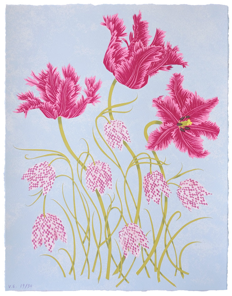 Tulips and Fritillaries 19/30 - Angie Lewin - printmaker and painter
