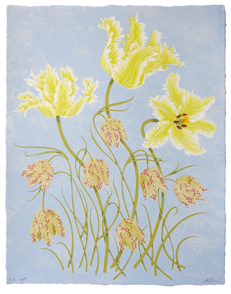 Tulips and Fritillaries A/P (Artist's Proof) - Angie Lewin - printmaker and painter