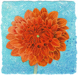 Burnt Orange Dahlia - Angie Lewin - printmaker and painter