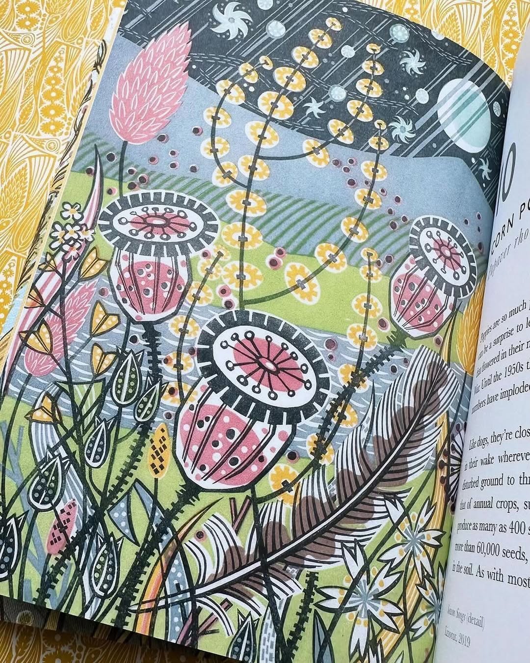The Book of Wild Flowers - Angie Lewin - printmaker and painter