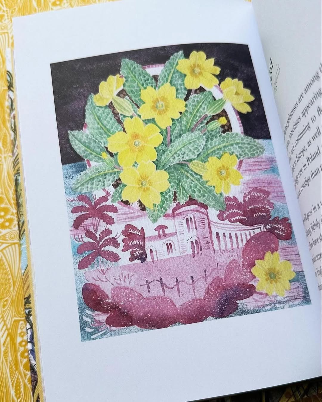 The Book of Wild Flowers - Angie Lewin - printmaker and painter