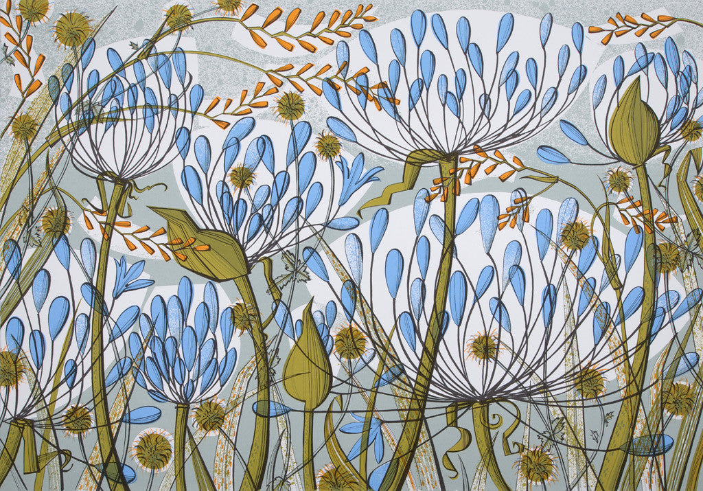 Agapanthus II, screenprint by Angie Lewin